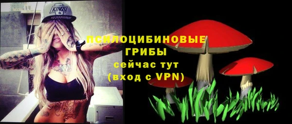 ПСИЛОЦИБИНОВЫЕ ГРИБЫ Армянск