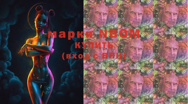твердый Аркадак