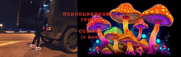 твердый Аркадак