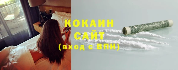 твердый Аркадак