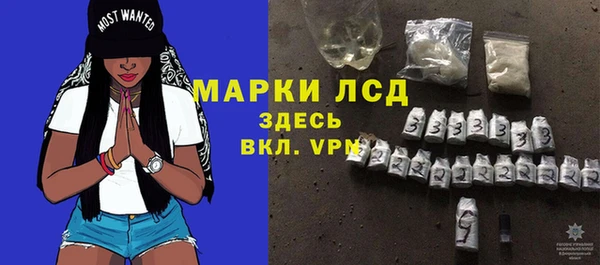 твердый Аркадак