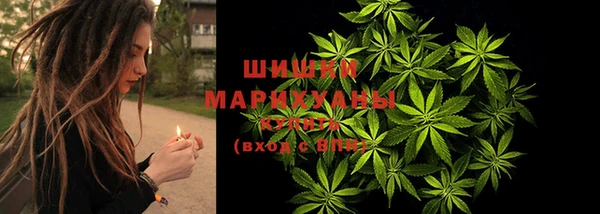 ПСИЛОЦИБИНОВЫЕ ГРИБЫ Армянск